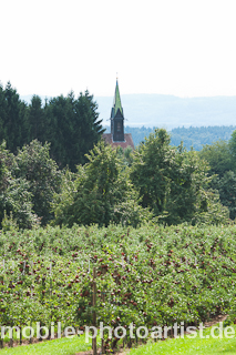 Landschaft